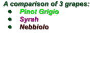 A comparison of 3 grapes:  	Pinot Grigio 	Syrah 	Nebbiolo