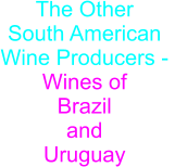 The Other South American  Wine Producers -  Wines of  Brazil and Uruguay