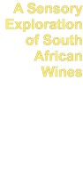 A Sensory Exploration of South African Wines